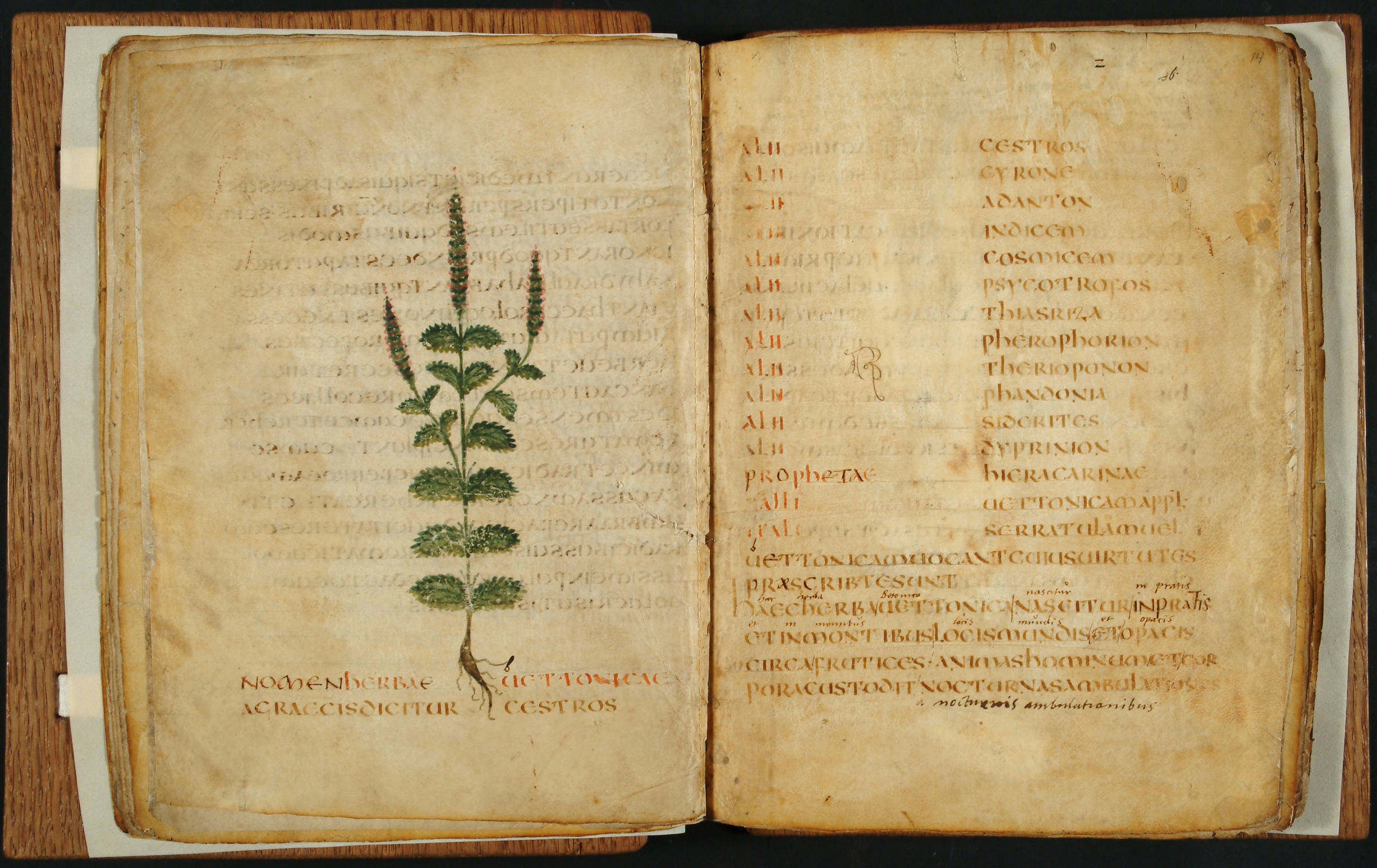 medieval manuscripts used parchment or vellum created from