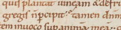 Medieval question mark in Berne, Bibliotheek Cod. 162, f. 15r